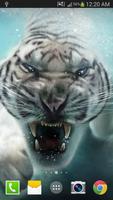 Tiger Live Wallpaper Affiche