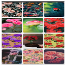 Estética de papel de parede 8k APK
