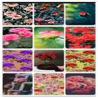 8k wallpaper aesthetic 2024 icon