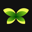 Auto Wallpaper Changer - eWall