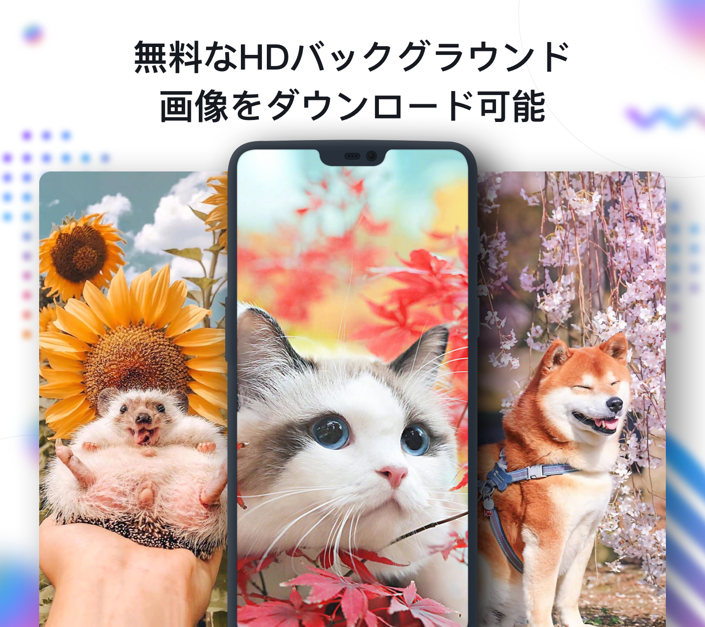 無料でnoxlucky 4k 壁紙 Hdライブ背景 発信者ショー 4d Apkアプリの最新版 Apk2 7 3をダウンロードー Android用 Noxlucky 4k 壁紙 Hdライブ背景 発信者ショー 4d Apk の最新バージョンをインストール Apkfab Com Jp