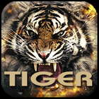 Tiger иконка