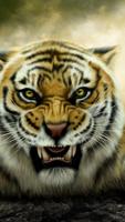 Tiger capture d'écran 2