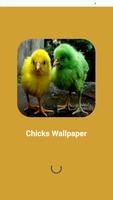 Chicks Wallpapers Affiche