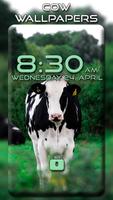 Cow Wallpapers ภาพหน้าจอ 3