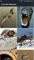 Crocodile Wallpapers screenshot 1