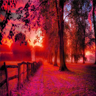 HD nature wallpapers icon