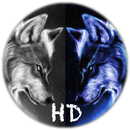 Wolf fond d'écran HD APK