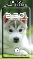 Dogs Wallpapers Screenshot 1