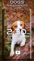 Dogs Wallpapers screenshot 3