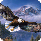 Eagle HD Wallpaper icône