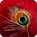 Feather HD Wallpaper APK