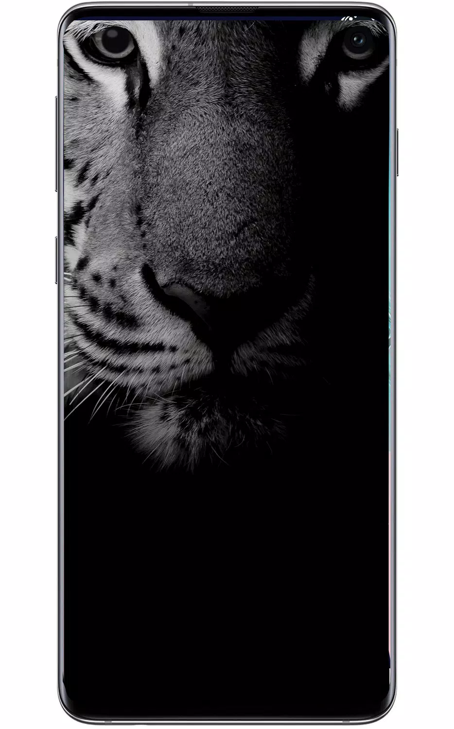 APK S10 Wallpaper là lựa chọn hoàn hảo cho những ai muốn tùy biến hình nền trên thiết bị Samsung Galaxy S10 của mình. Với những tính năng tiên tiến và hiện đại nhất, bạn sẽ có thể tạo ra những bức ảnh độc đáo và đẳng cấp nhất cho chiếc điện thoại của mình.