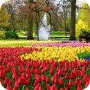 1000+Garden HD Wallpaper APK