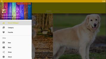 Golden Retriever Dog Fond d'écran HD capture d'écran 3