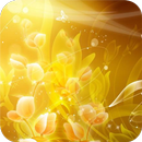Gold Wallpaper APK