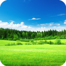 Grass HD Wallpaper APK