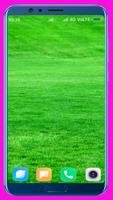 Grass HD Wallpaper Poster