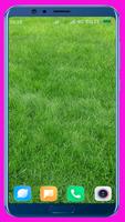 Grass HD Wallpaper captura de pantalla 1