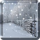 Winter Snow Live Wallpaper أيقونة