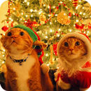Christmas Cat Live Wallpaper-APK