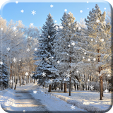 Winter Snow Live Wallpaper icono