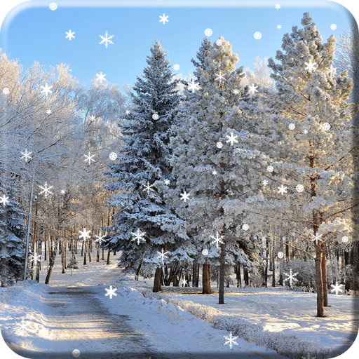 冬季雪景動態桌布free Pro Apk 1 0 9安卓下載 下載冬季雪景動態桌布free Pro Apk最新版本 Apkfab Com