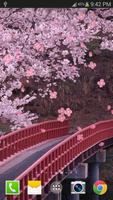 Sakura Live Wallpaper captura de pantalla 3