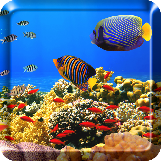 Ocean Fish Live Wallpaper HD