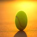 Tennis Wallpaper HD