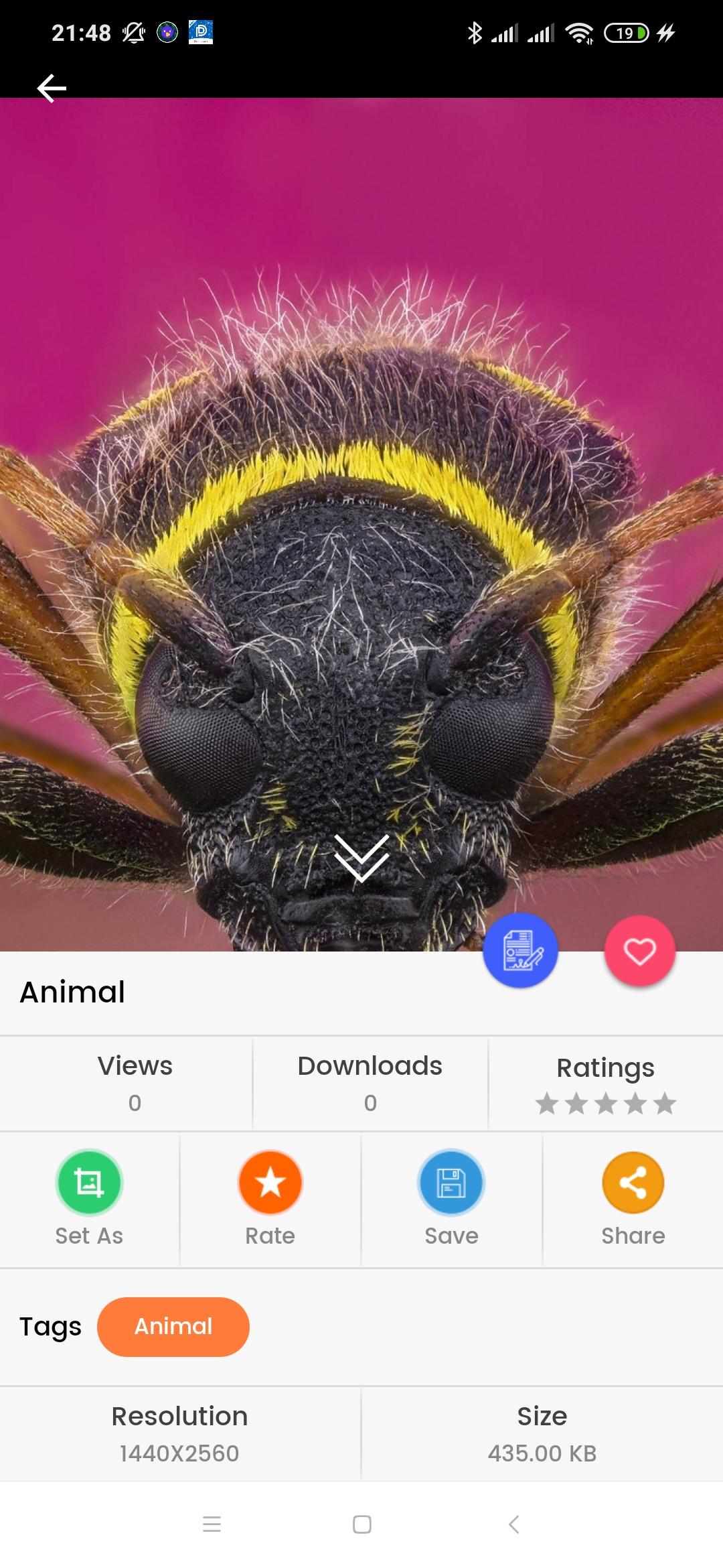 4K Live Wallpaper-HD Wallpaper for Android - APK Download