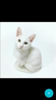 Cat Wallpapers HD ภาพหน้าจอ 3