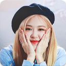 Rose Blackpink Wallpapers HD APK