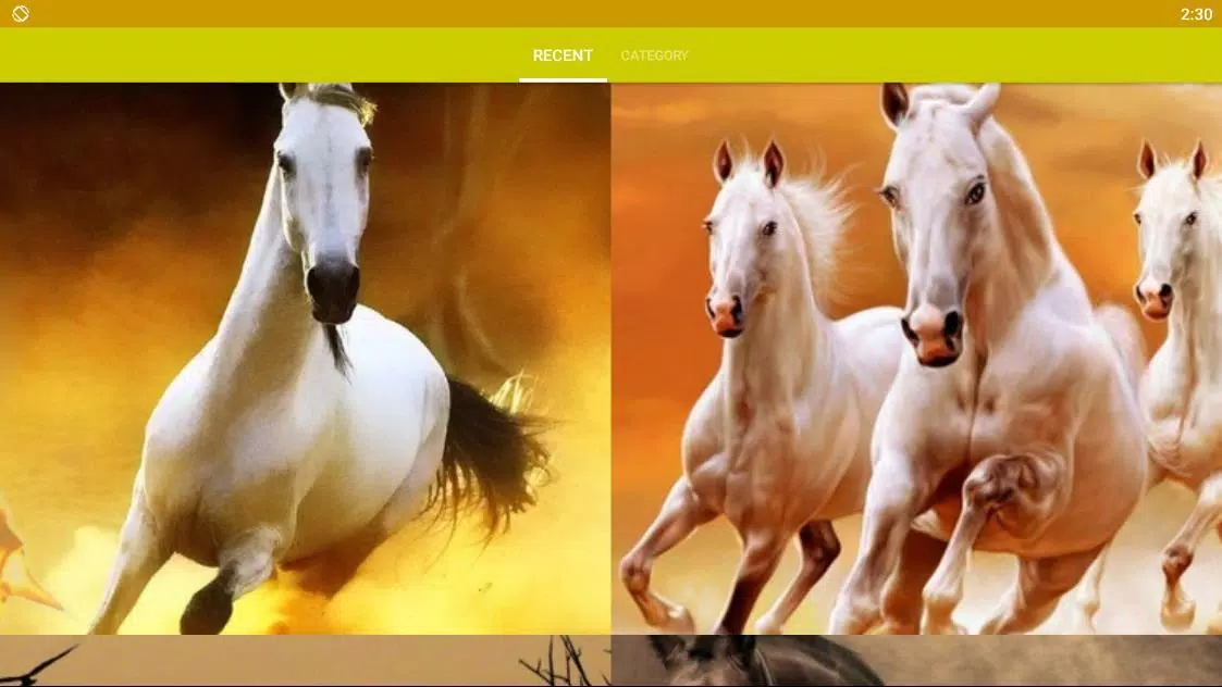 Horse Wallpaper HD APK for Android Download Horse Wallpaper HD APK for Android Download