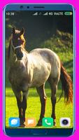 Horse HD Wallpaper โปสเตอร์