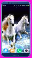 Horse HD Wallpaper ภาพหน้าจอ 1