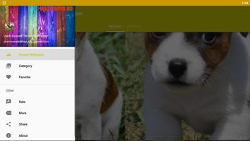 Jack Russell Terrier Dog Fond d'écran HD capture d'écran 3