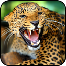 Jaguar Wallpaper APK