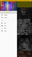 Fond d'écran Lion HD capture d'écran 2