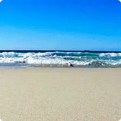 Ocean Waves Live Wallpaper HD 8