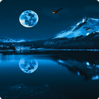 Blue Moon Live Wallpaper HD-icoon