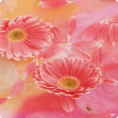 Flower Live Wallpaper HD APK