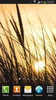 Grass Live Wallpaper HD 포스터