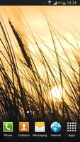 Grass Live Wallpaper HD 스크린샷 1