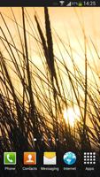 Grass Live Wallpaper HD 스크린샷 2