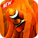 Clownfish aplikacja