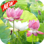 Lotus আইকন