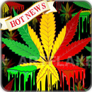 Reggae Wallpaper APK