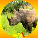 Rhinocéros Fond d'écran HD APK