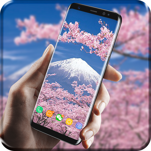 Sakura 3D Live Wallpaper roman